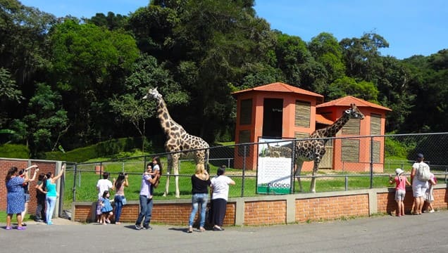 Melhores zoológicos para se visitar no Brasil