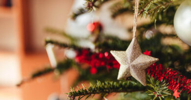 Natal é tempo de magia.