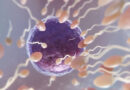Fertilização in vitro: tudo que você precisa saber.