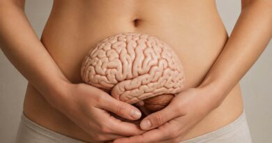 Mulher segura um modelo de cérebro sobre o abdômen, representando o eixo intestino-cérebro
